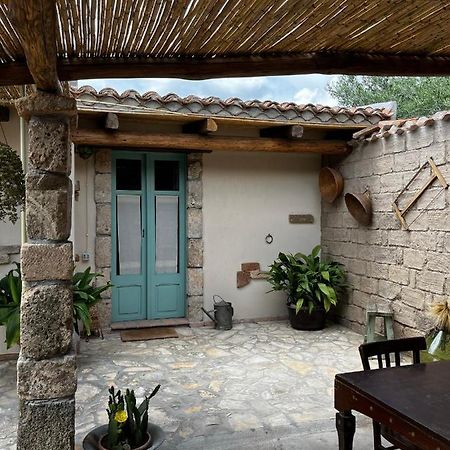 Graziosa Stanza Campidanese Su Terzu Guest House Ористано Екстериор снимка