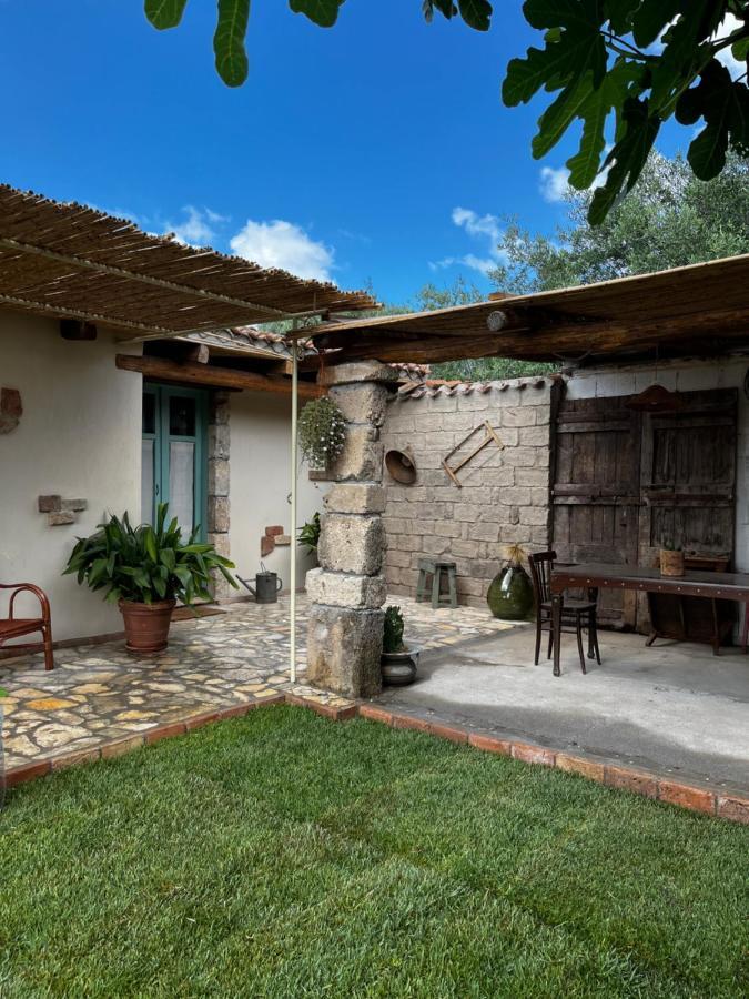 Graziosa Stanza Campidanese Su Terzu Guest House Ористано Екстериор снимка